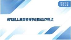 绒毛膜上皮癌转移的创新治疗靶点
