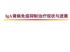 IgA肾病治疗