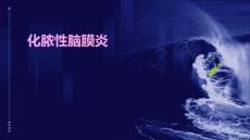 《化脓性脑膜炎》课件