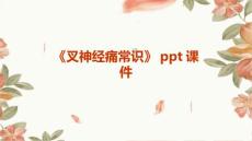 《叉神经痛常识》课件