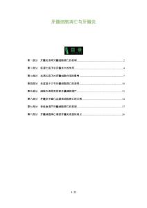 牙髓细胞凋亡与牙髓炎