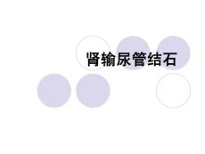 肾输尿管结石课件