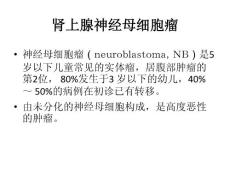肾上腺神经母细胞瘤课件