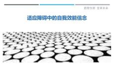 适应障碍中的自我效能信念