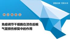 免疫调节干细胞在烫伤后喉气管损伤修复中的作用