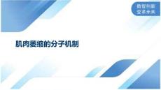 肌肉萎缩的分子机制