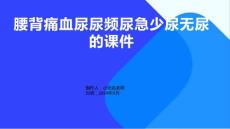 腰背痛血尿尿频尿急少尿无尿的课件