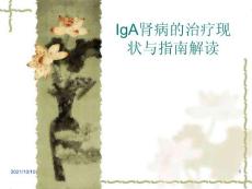 IgA肾病指南解读
