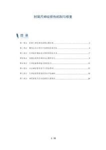 肘窝尺神经损伤机制与修复