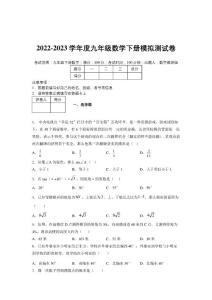 2022-2023學(xué)年度九年級數(shù)學(xué)下冊模擬測試卷   (9548)