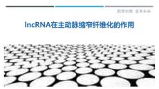 lncRNA在主动脉缩窄纤维化的作用