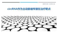 circRNA作为主动脉缩窄潜在治疗靶点