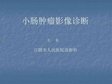 小肠肿瘤影像诊断学