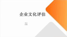 可行性方案分析的企業(yè)文化評估