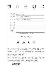商業(yè)計劃書新編