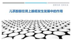 儿茶酚胺在肾上腺癌发生发展中的作用