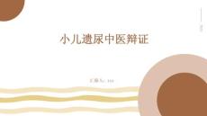 小儿遗尿中医辩证ppt