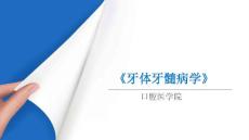 《牙体牙髓病学》课件——牙髓根尖周病治疗原则与计划