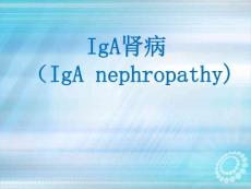 医院培训课件：《IgA肾病（IgA nephropathy）》