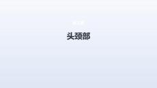 《头颈部》医学课件