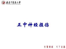 正中神经损伤