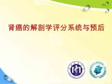 肾癌解剖评分