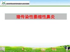 猪传染性萎缩性鼻炎