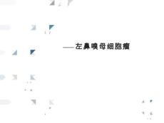 嗅神经母细胞瘤护理