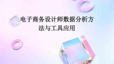 電子商務(wù)設(shè)計師數(shù)據(jù)分析方法與工具應(yīng)用