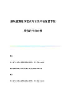 膀胱壁瓣输尿管成形术治疗输尿管下段损伤的疗效分析