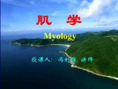 05四肢肌