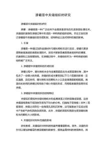 渗硼层中夹缝组织的研究