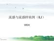 流感与流感样病例