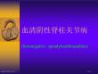AS血清阴性脊柱关节病