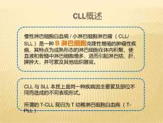 慢性淋巴细胞白血病CLL指引解读.ppt