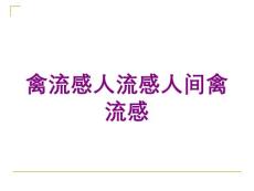 禽流感人流感人间禽流感培训课件
