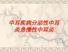 中耳疾病分泌性中耳炎急慢性中耳炎培训课件