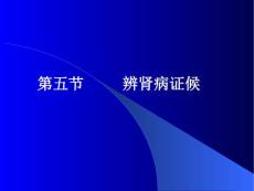 肾病辨证