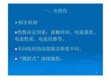 电烧伤和化学烧伤最新.ppt