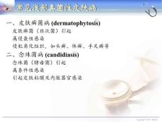 皮肤病学之常见真菌性皮肤病.pptx