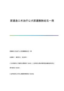 尿道造口术治疗公犬尿道膀胱结石一例