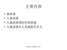 禽流感与人禽流感.幻灯课件.ppt