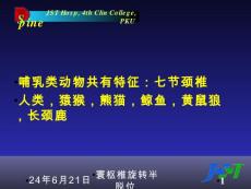 寰枢椎旋转半脱位课件
