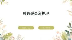 脾破裂查房护理ppt