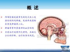 颅咽管瘤课件.ppt