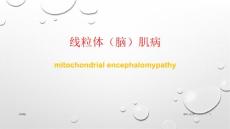 线粒体(脑)肌病