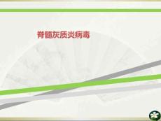 脊髓灰质炎病毒