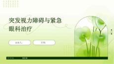 突发视力障碍与紧急眼科治疗
