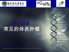 体表肿瘤ppt课件