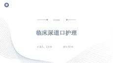 临床尿道口护理